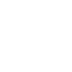 Fire Scarabs